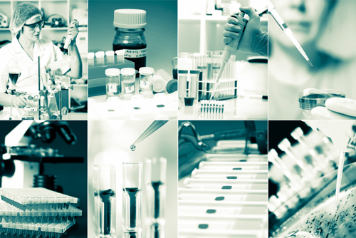 Practical Microbiology Techniques Training