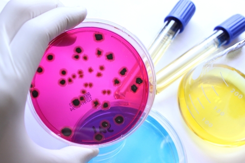 Environmental Monitoring Program