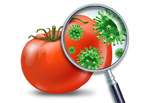 Food Safety Micrology